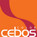 Cebos-color – купить декоративные покрытия для стен в Москве